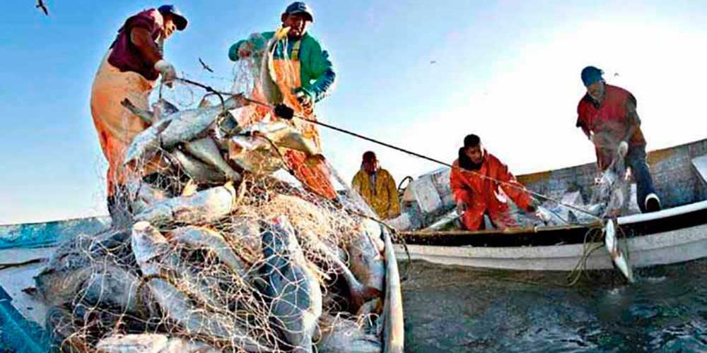 La Pesca Historia Características Clasificación Modalidades y Más
