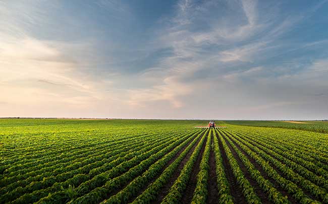 soluciones para los problemas ambientales y agricultura responsable