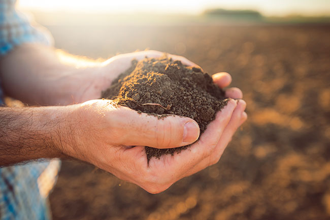 soluciones para los problemas ambientales aprovechamiento de tierras