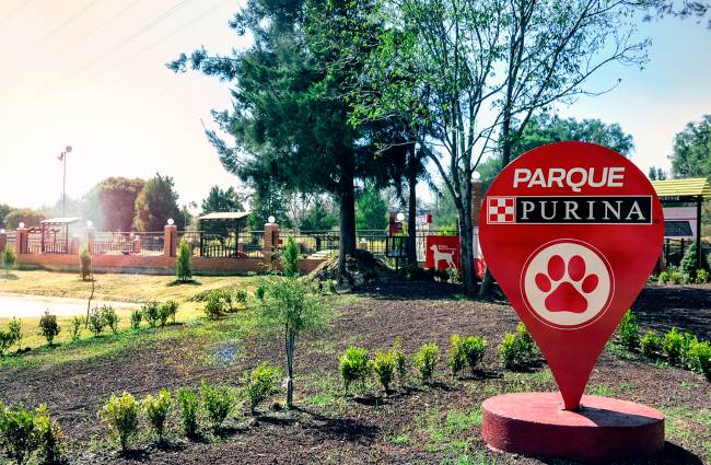 parque purina, nestle, purina, purina nestle, parque para perros, parque para perros en mexico, parque para perros en el estado de mexico, como cuidar el bienestar de las mascotas, rol de las mascotas en la sociedad, marca purina, purina pro plan, cuautitlan izcalli, parque de los lirios, parque espejo de los lirios, derechos de los animales, derechos de los perros, perros, ejercicio para perros, como ejercitar a mi perro