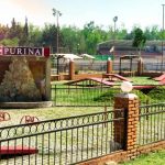 parque purina, nestle, purina, purina nestle, parque para perros, parque para perros en mexico, parque para perros en el estado de mexico, como cuidar el bienestar de las mascotas, rol de las mascotas en la sociedad, marca purina, purina pro plan, cuautitlan izcalli, parque de los lirios, parque espejo de los lirios, derechos de los animales, derechos de los perros, perros, ejercicio para perros, como ejercitar a mi perro