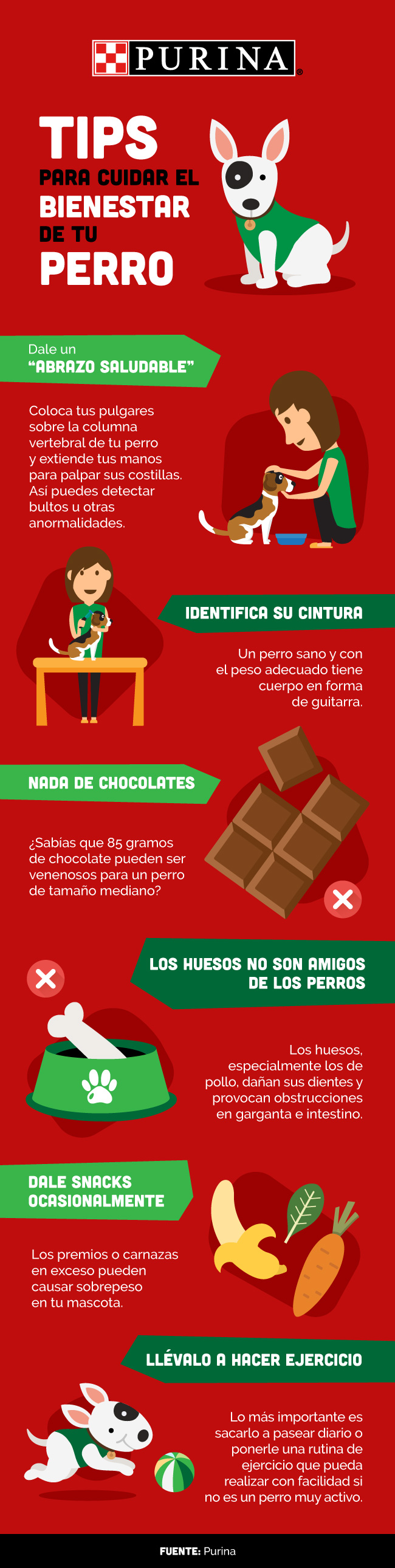 parque purina, nestle, purina, purina nestle, parque para perros, parque para perros en mexico, parque para perros en el estado de mexico, como cuidar el bienestar de las mascotas, rol de las mascotas en la sociedad, marca purina, purina pro plan, cuautitlan izcalli, parque de los lirios, parque espejo de los lirios, derechos de los animales, derechos de los perros, perros, ejercicio para perros, como ejercitar a mi perro