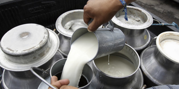 Las grandes marcas ponen en peligro a productores de leche... ¿Y el comercio justo?