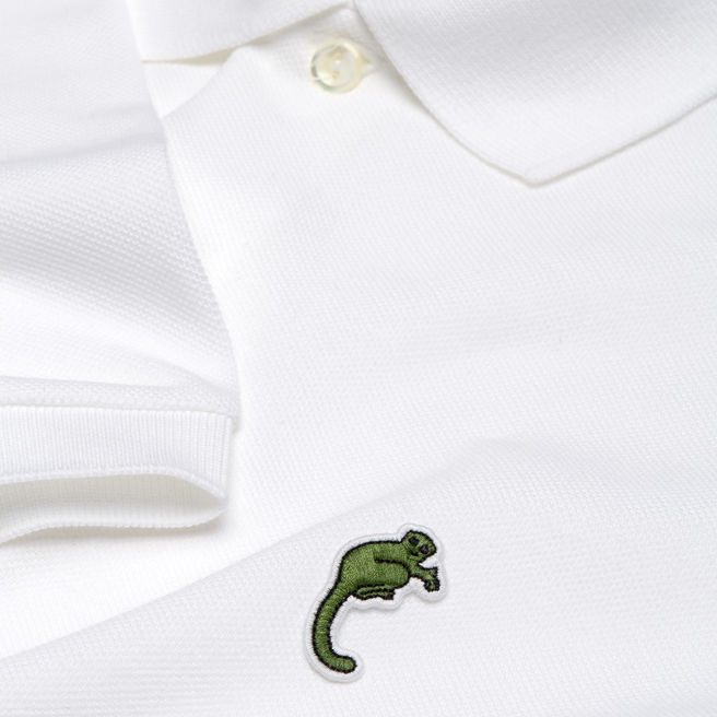 cocodrilo de Lacoste 1