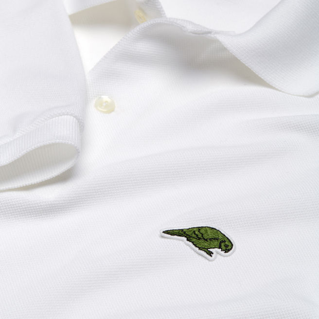 cocodrilo de Lacoste 1