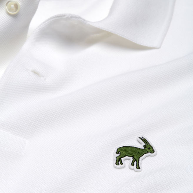cocodrilo de Lacoste 1