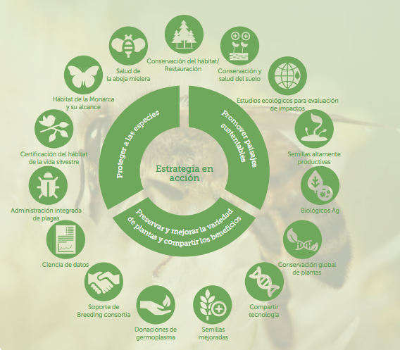 monsanto vs el cambio climatico, monsanto, rse monsanto, monsanto empresa responsable, sustentabilidad de monsanto, responsabilidad social de monsanto, acciones de monsanto contra cambio climatico, informe de sustentabilidad monsanto, calentamiento global, acciones empresariales contra cambio climatico