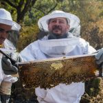 comida con causa, toks, rse toks, responsabilidad social de toks, restaurantes toks, dia de las madres, toks dia de las madres, regalos toks dia de las madres, abeja reyna, abeja reyna guadalajara, jalea real, productos de jalea real, productos abeja reyna, proyectos productivos toks