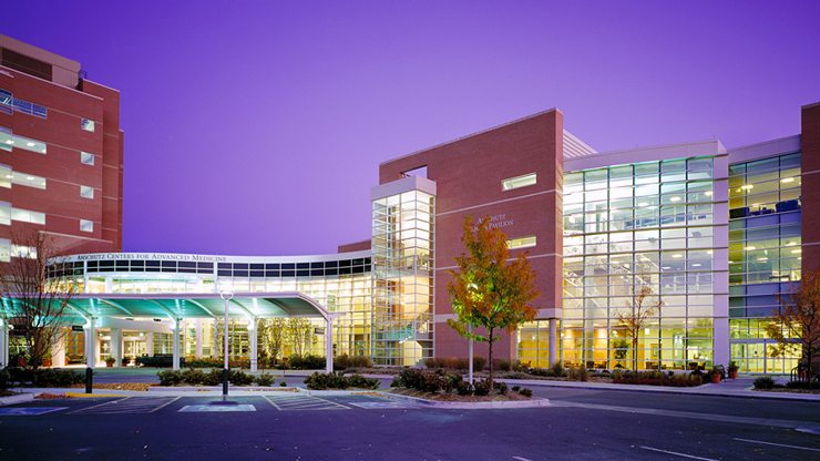 mejores MBA online en sustentabilidad