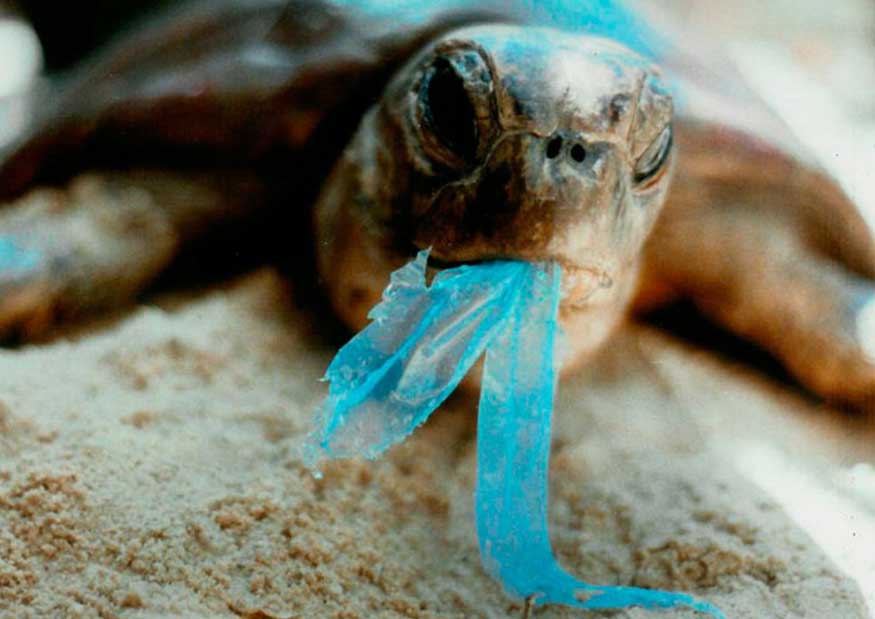 Resultado de imagen para imagenes de contaminacion