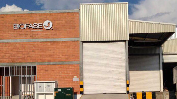 Popotes de aguacate: invento de una empresa mexicana