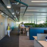 energia 100% generada con paneles solares, cruz azul, cooperativa la cruz azul, edificios con paneles solares, arquitectura sostenible, certificacion leed, construccion sostenible en mexico, greenbuild mexico 2018