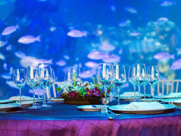 Cómo recaudar fondos para OSC a través de experiencias