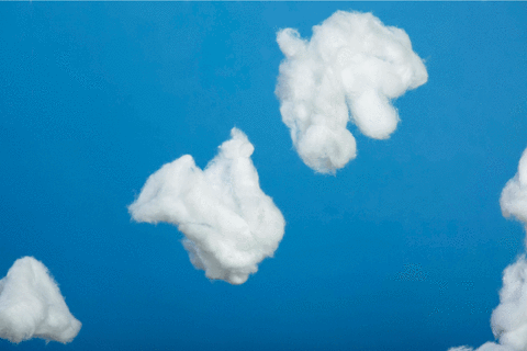 Cómo hacer viajes LGBTI+