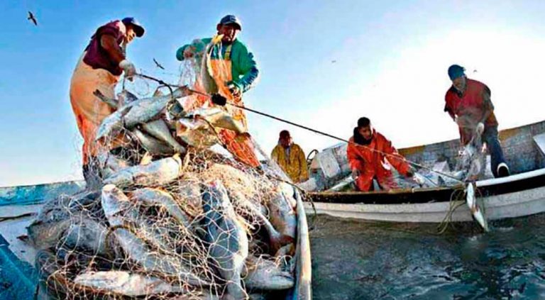 Disminución de la productividad en la pesca; culpa del cambio climático