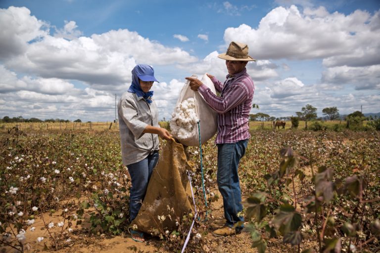 Fundación C&A presenta su Reporte Anual 2017