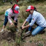 hsbc reforesta, hsbc reforestacion familiar 2018, hsbc, sustentabilidad de hsbc, rse de hsbc, miguel laporta, nuno matos, director general de hsbc mexico, hsbc mexico, responsabilidad social hsbc, bancos sustentables, nevado de toluca, ejido loma alta, reforestamos mexico, programa bosques urbanos hsbc, reforestacion en el nevado de toluca