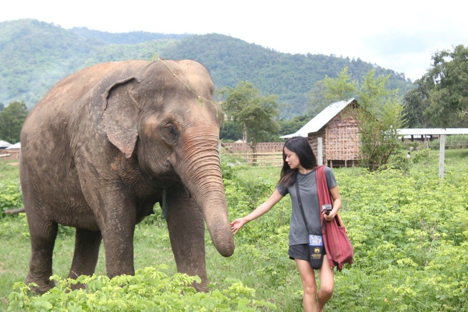 Elephant Natura Park, Chiang Mai, Tailandia