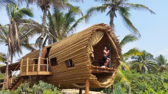 Playa Viva, Juluchuca, Guerrero
