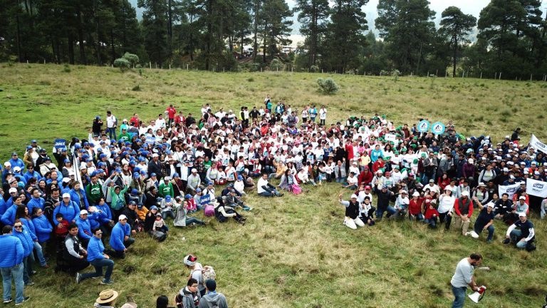 Empresas líderes realizan jornada de reforestación en el Nevado de Toluca