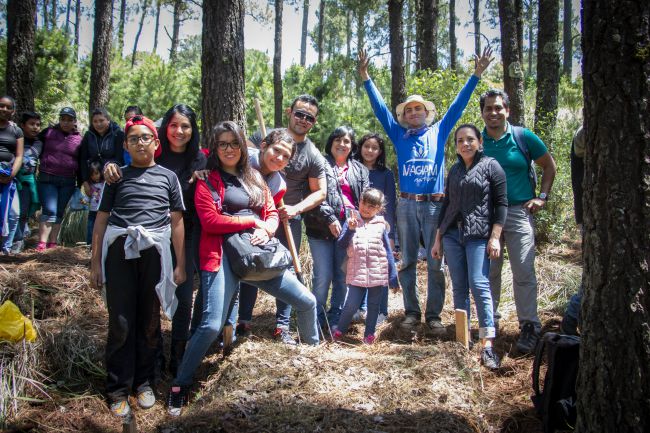 bosque toks, toks, restaurantes toks, pinar de la cima, arboles de navidad toks, reforestacion sustentable, que es el bosque toks, rse de toks, responsabilidad social de toks, gustavo perez director de responsabilidad social toks, gustavo perez berlanga, todd moss, programas de rse de toks, sustentabilidad de toks, reforestacion de arboles de navidad, navidad sustentable