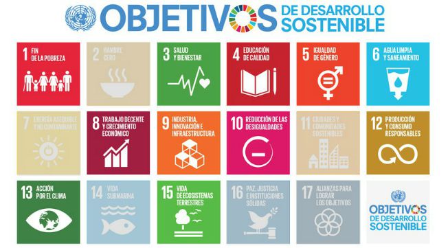 como compensar el co2 de tu vuelo, klm, air france, air france-klm, sustentabilidad klm, rse de klm, responsabilidad social de klm, klm takes care, co2zero, bonos de carbono klm, co2ol tropical mix, gold standard for the global goals, ods, objetivos de desarrollo sostenible