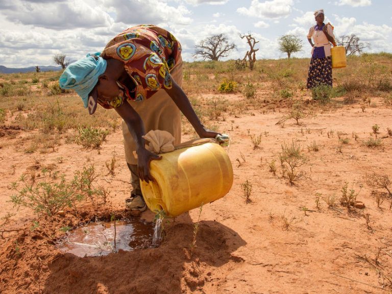 ¿Es el feminismo una solución para el cambio climático?