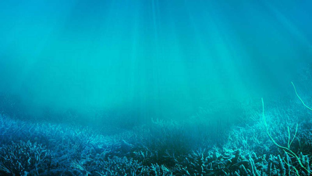 El calor por efecto invernadero está en los océanos