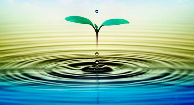 Resultado de imagen para agua