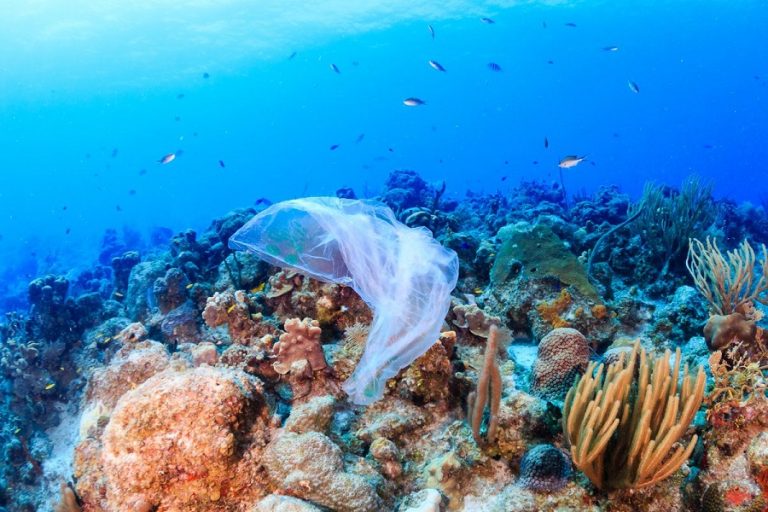 Cómo SC Johnson está reduciendo el plástico en el océano