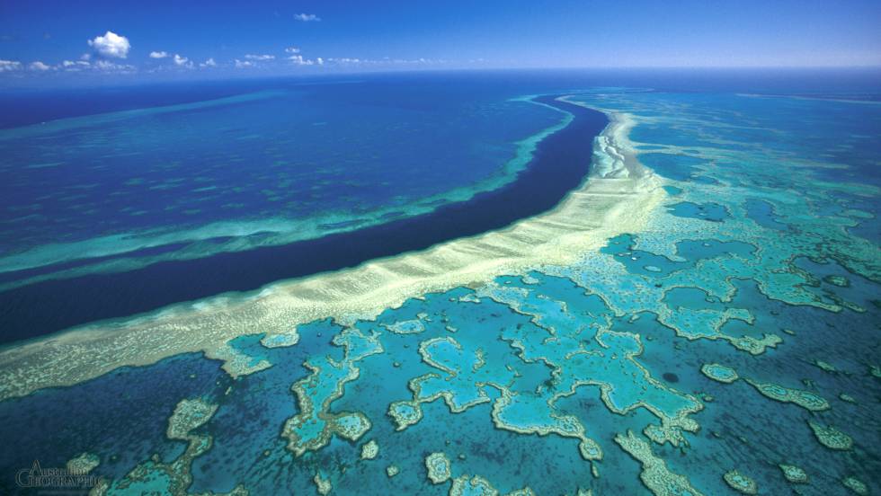 Daños por cambio climático en la Gran Barrera de Coral australiana