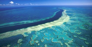 Daños por cambio climático en la Gran Barrera de Coral australiana