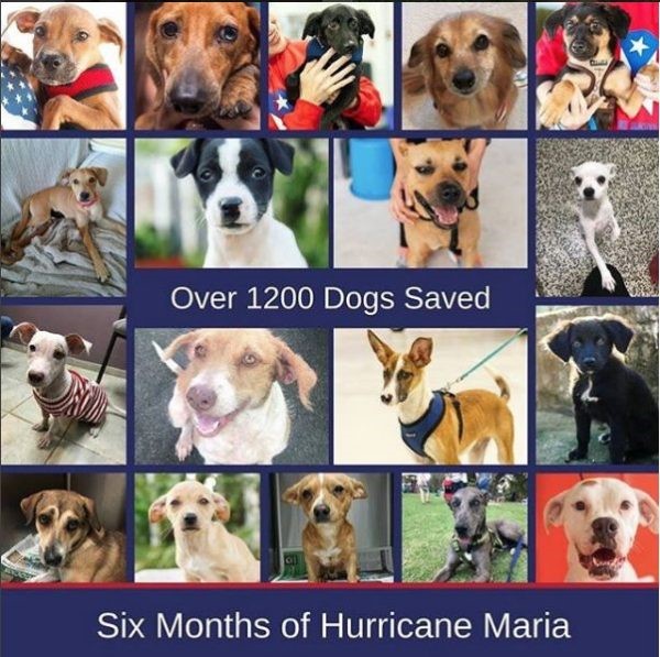 10 mejores iniciativas de RSE en 2018 Marc Jacobs