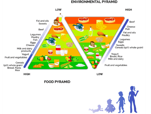 piramide de comida