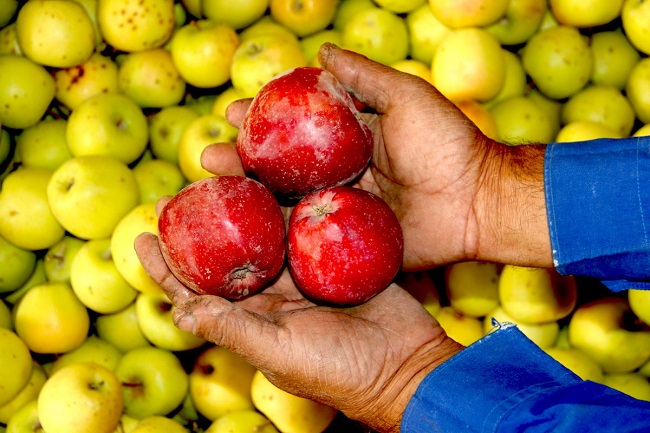 10 increíbles momentos para el medio ambiente en 2018 agroforestria