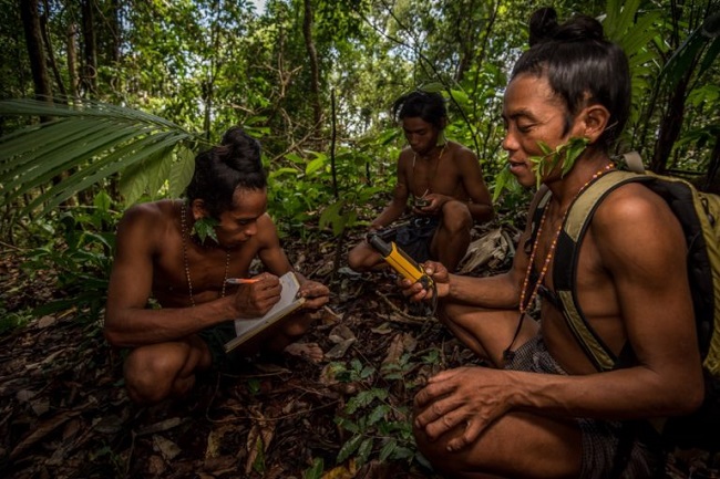 10 increíbles momentos para el medio ambiente en 2018