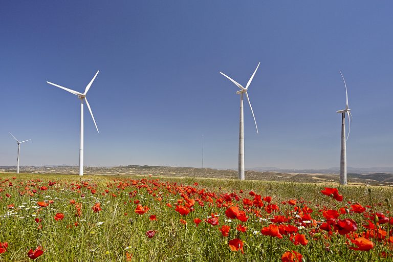 Acciona suministrará de nuevo energía renovable a Telefónica en 2019