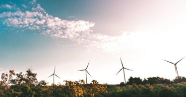 Empresas que apuestan por energía renovable
