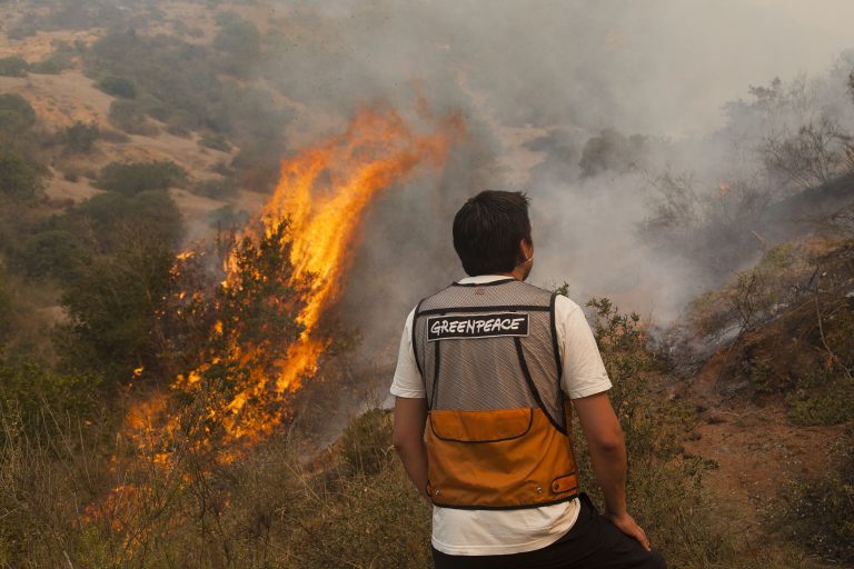 Greenpeace y graves incendios en Aysén