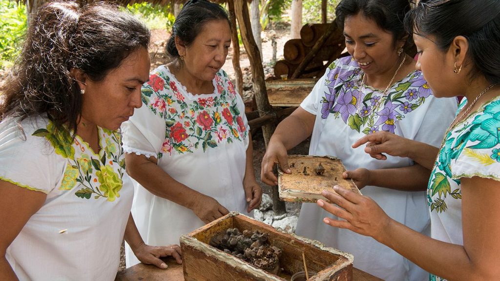 Mujeres mayas salvan a las abejas y se empoderan
