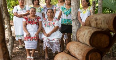 Mujeres mayas salvan a las abejas y se empoderan