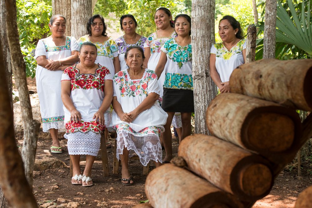 Mujeres mayas salvan a las abejas y se empoderan