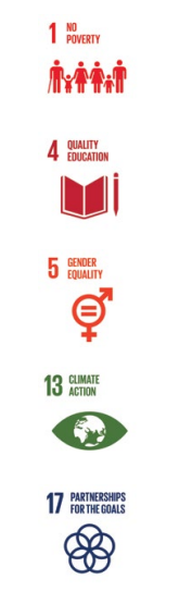5 pasos para transformar riesgos en oportunidades con los ODS - establecer objetivos
