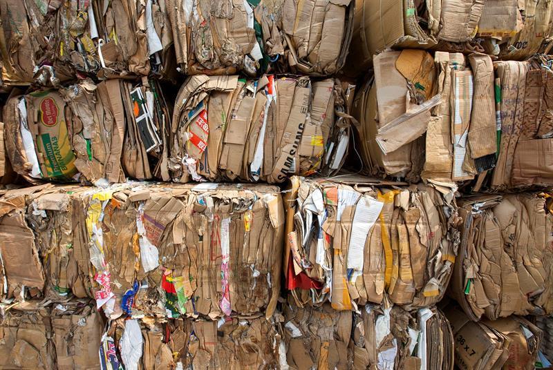 Reciclado de carton