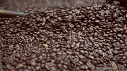 Tacaná: La historia detrás de la producción del café sustentable de Toks