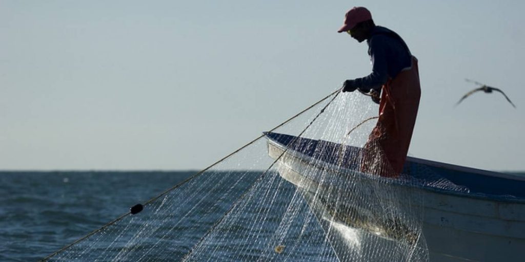 Nuevo plan por la vaquita marina no contempla a pescadores;