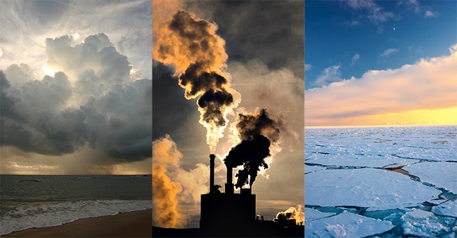 7 campañas vs el calentamiento global