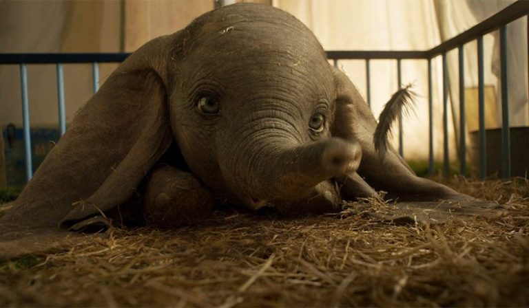 La verdadera historia de Dumbo, el elefante triste