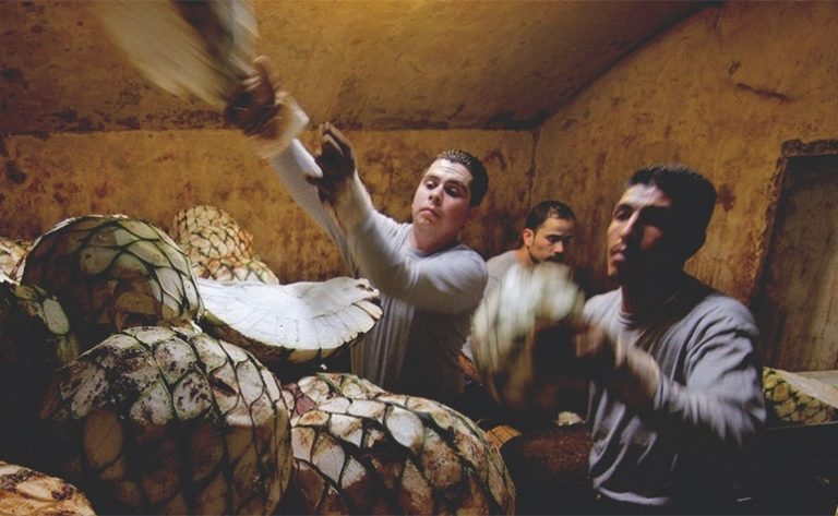 Un shot de sustentabilidad: Bacardí