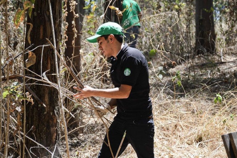 Más de 17 mil voluntarios mexicanos se han unido a Starbucks para colaborar con diferentes comunidades